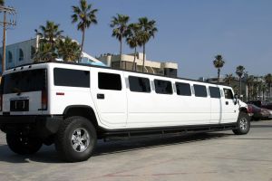 Limousine Insurance in Latah County, Moscow, ID.